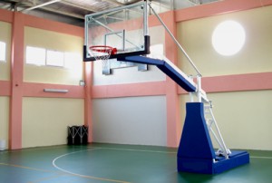 Profesyonel Basketbol Potası